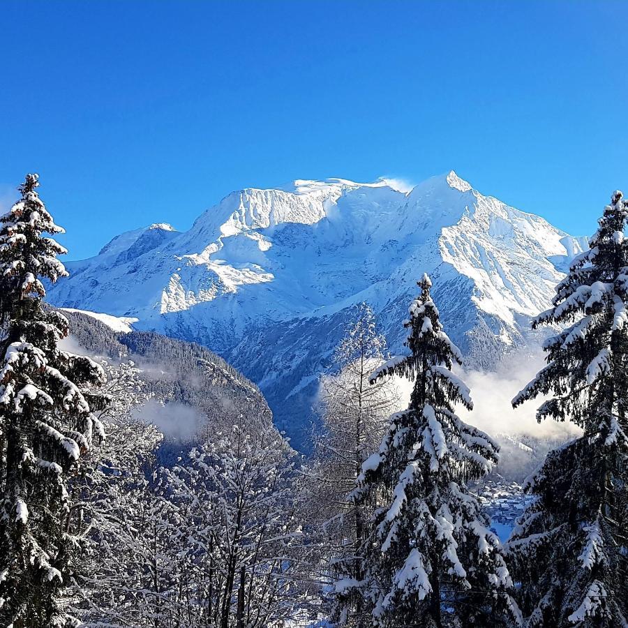 Appartement Saint Gervais Les Bains Vue Imprenable Mont Blanc Ngoại thất bức ảnh